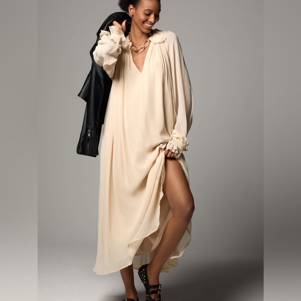 Anthropologie Long Sleeve Sheer Pleated Midi / Maxi Dress - Picture 2 of 8